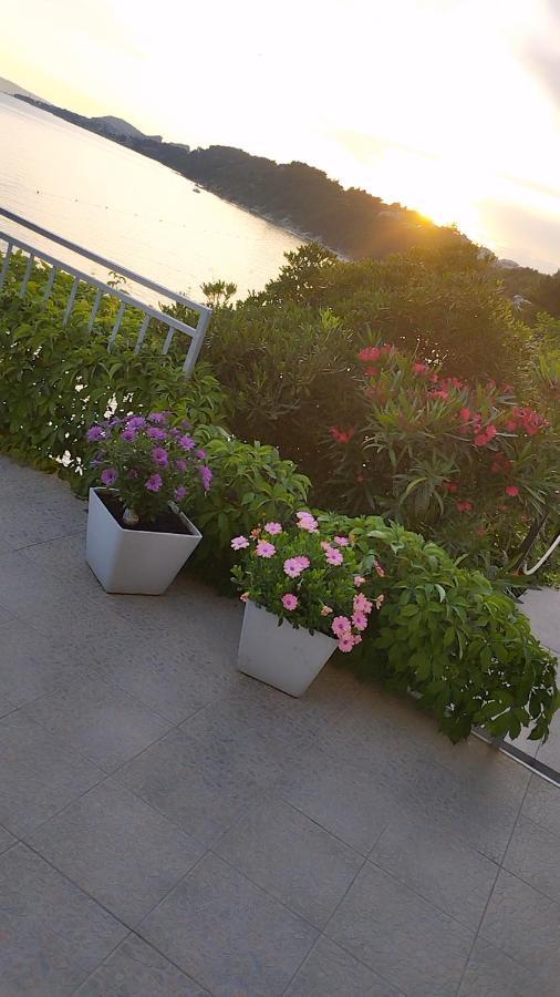 Apartments & Room Paula 스토브레츠 외부 사진